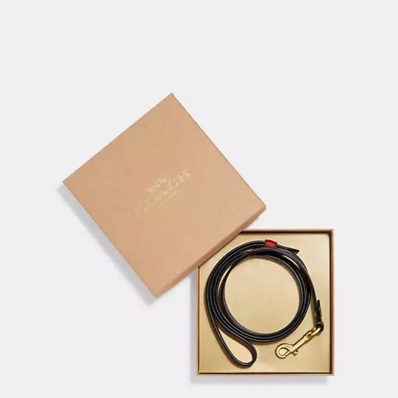 Coach dog leash and collar for small dog set - Picture 7 of 7